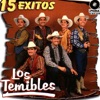 Los Temibles - 15 Exitos