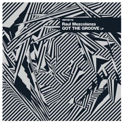 Got the Groove - Raul Mezcolanza Lp