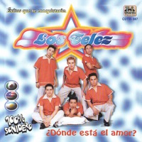 Los Telez - Amor Robótico