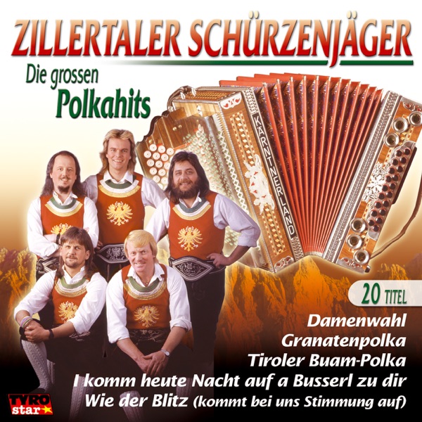Die grossen Polkahits artwork