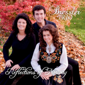 A Bird Without Wings