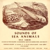 Sounds of Sea Animals, Vol. 2: Florida