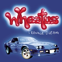 Teenage Dirtbag - Single - Wheatus