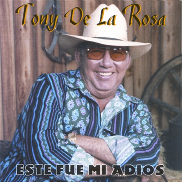 Este Fue Mi Adios artwork