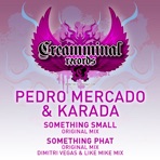 Something Small / Something Phat - Ep