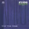 Ars Nova Singers - Arvo Pärt, Prayer After the Canon (Kanon Pokajanen)