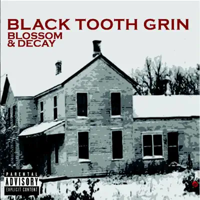 Black Tooth Grin adlı sanatçının Blossom & Decay albümünü dinle