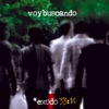 Voy Buscando, 2005