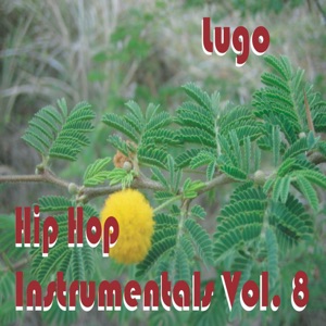 Hip Hop Instrumentals Vol. 8