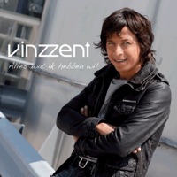 Alles Wat Ik Hebben Wil - Vinzzent