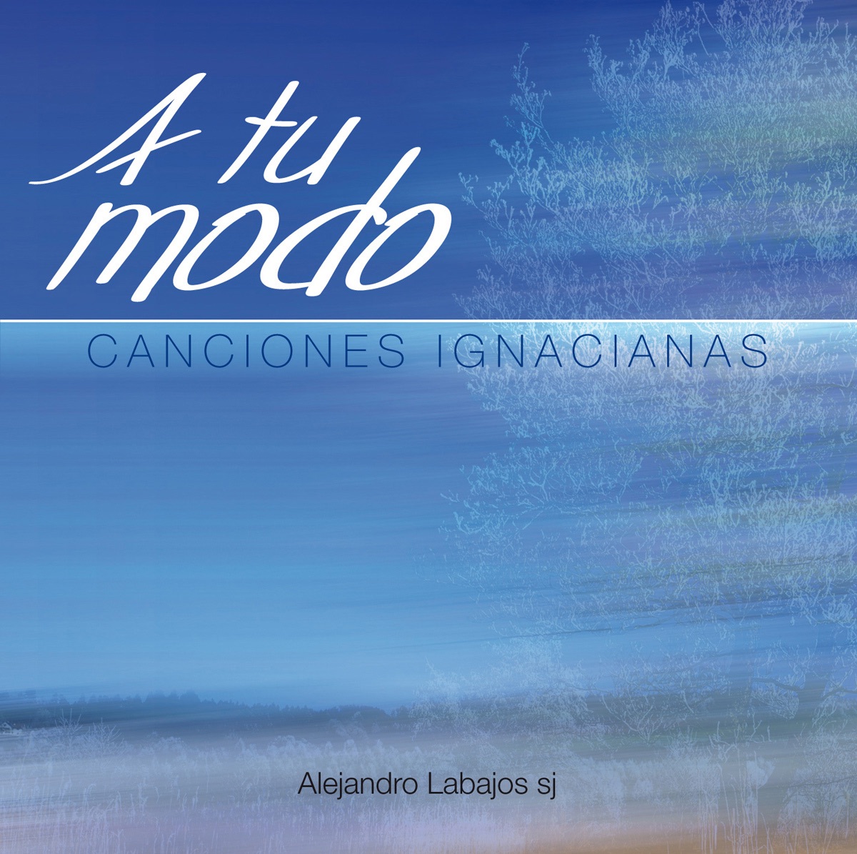 Alejandro Labajos sj - A Tu Modo