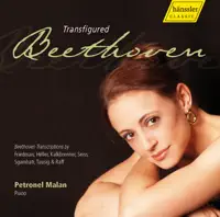 Beethoven - Romance No. 1 In G Major, Op. 40 — Petronel Malan