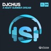 A Night Summer Dream (David Herrero & Rober Gaez Mix) cover art