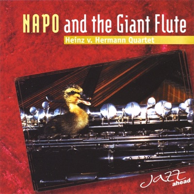 Napo and the Giant Flute
