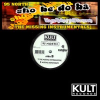 Dj Sampler Volume 2 - 95 North, Jeff Bernstein, DJ Rooster & Lenny Fontana