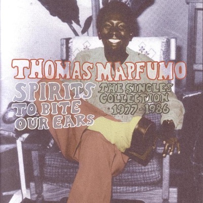 Thomas Mapfumo - Ngoma Yekwedu