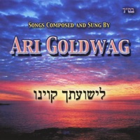 Lishuascha Kivinu - Ari Goldwag