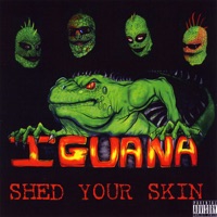 Shed Your Skin - Iguana
