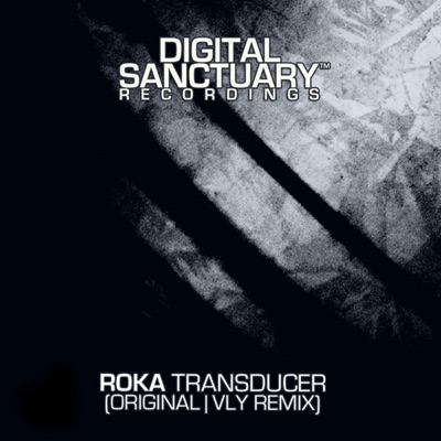 Transducer / Transducer - Vly Remix - Single