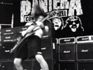 Domination (Live) - Pantera