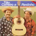 A viola e o violeiro