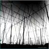 Infinite Scale - Live Feed