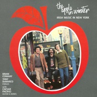 The Apple In Winter - Irish Music In New York by Brian Conway & Tony DeMarco on Apple Music