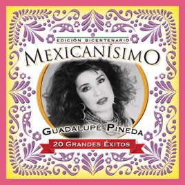 Resultado de imagen para guadalupe pineda Mexicanisimo-BicentenarioGuadalupe Pineda