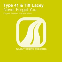 Never Forget You - EP - Type 41 & Tiff Lacey