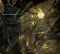 Uprising Follow