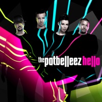 Hello - Single - The Potbelleez
