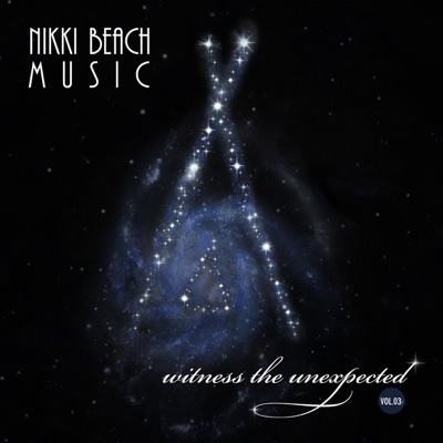 Nikki Beach Music: Witness the Unexpected Vol. 3