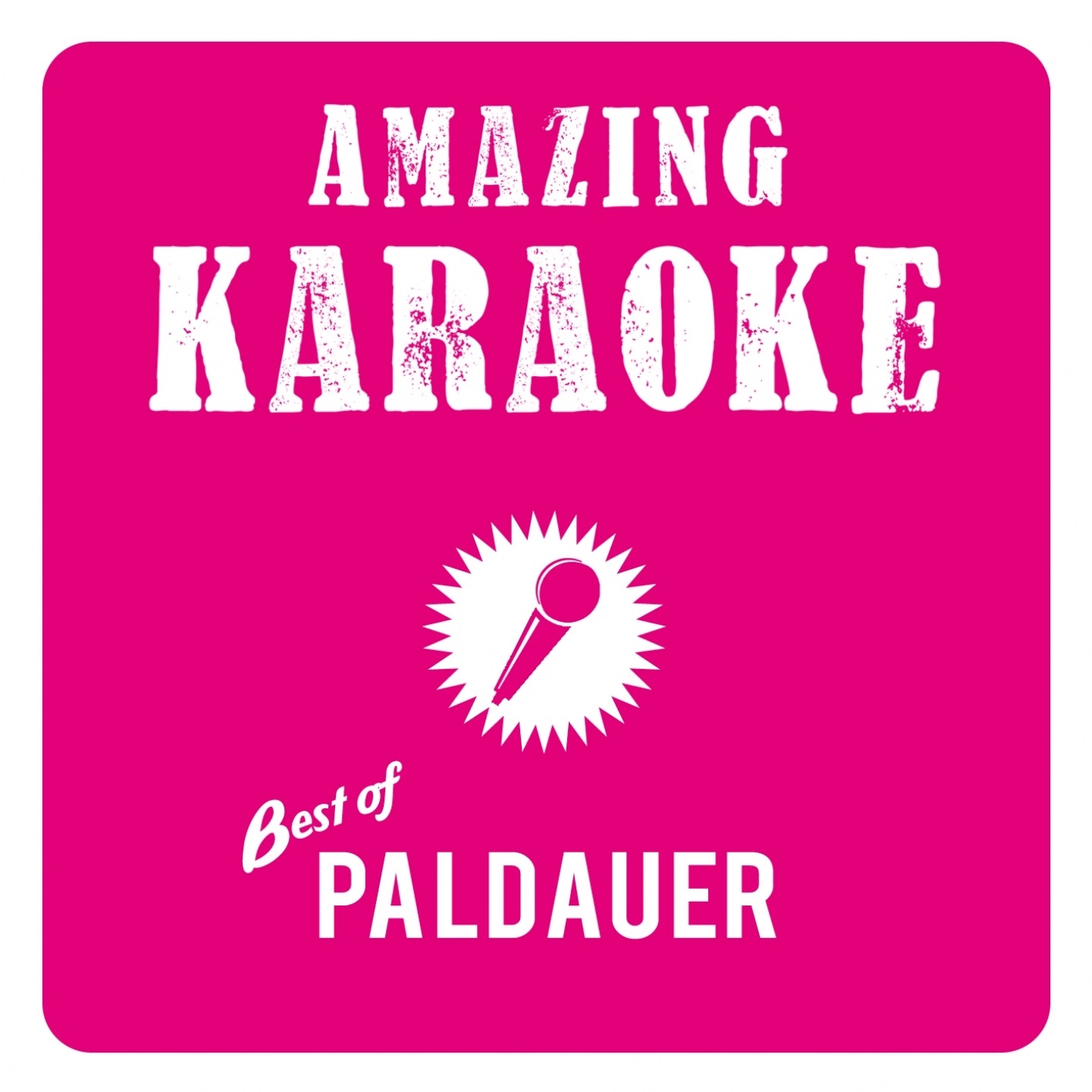 Amazing Karaoke - Best of Paldauer