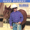 Dave Stamey - If I Had a Horse bild