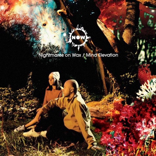 BBH (Bongo-Brk-Haven) by Nightmares on Wax on Voice FM Southampton