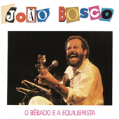 O Bêbado e a Equilibrista