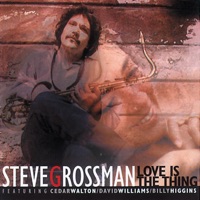 Love Is the Thing - Steve Grossman