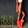 Neon House Night