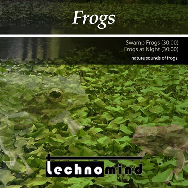 Capa de Swamp Frogs