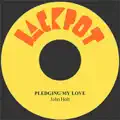Pledging My Love