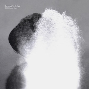 Damaged/Controlled (Bonus Version)