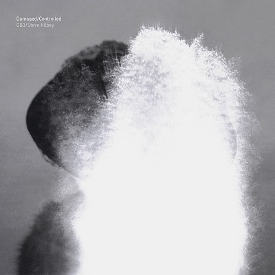 Damaged/Controlled (Bonus Version)