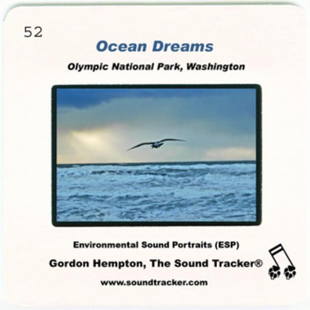 Ocean Dreams - Single