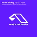 Never Gone (Original Mix)