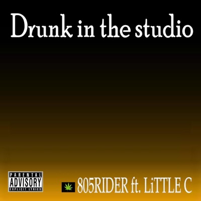 Drunk In the Studio - Single