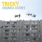 Council Estate (Toddla T Remix) - Tricky lyrics