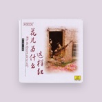 Wang Jieshi
