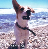 Pacifico, 2001