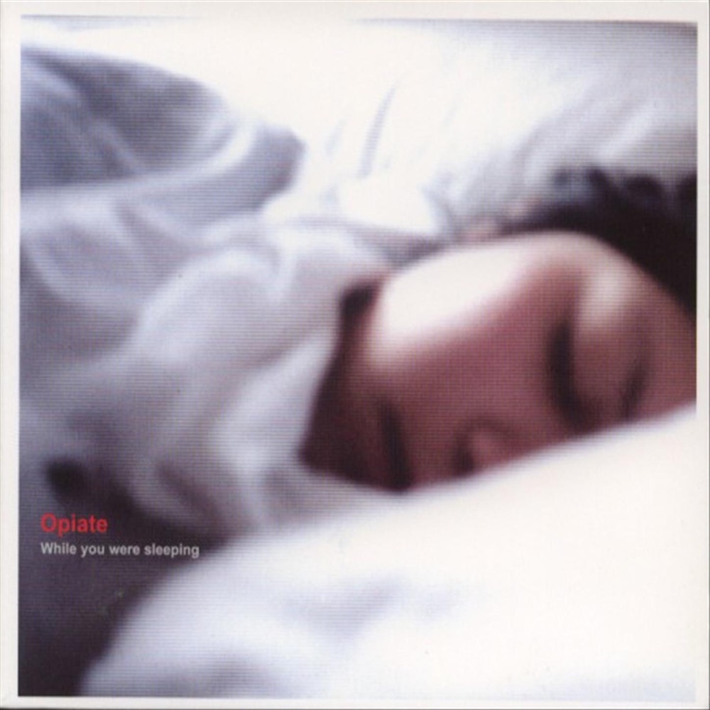 Обложка альбома «While You Were Sleeping» — Opiate