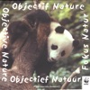 Objective Nature